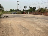 CHO THUÊ MẶT BẰNG DIỆN TÍCH LỚN Ở HUYỆN THUỶ NGUYÊN CŨ