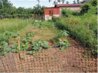 ĐẤT ĐẸP- GIÁ TỐT- SỞ HỮU NGAY Lô đất thổ cư 66 m2 tại xã Phúc Thọ-Hà Nội