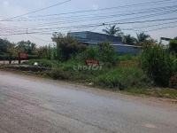 ĐẤT ĐẸP – GIÁ TỐT  – CHÍNH CHỦ CẦN BÁN GẤP Tại Xã Bình Hiệp, Thị xã Kiến Tường, Long An