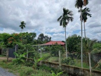 BÁN GẤP VƯỜN TRÁI CÂY VEN KÊNH – 1.100M² – CHỈ 4,8TR/M² – GIÁ MỀM HIẾM CÓ