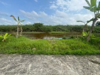 BÁN 15000M2 ĐẤT NÔNG NGHIỆP CÓ SẴN NHÀ PHÙ HỢP NGHỈ DƯỠNG  Xã Khánh An,  U Minh, Cà Mau