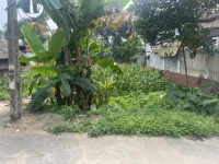 CHÍNH CHỦ BÁN GẤP 2 Ô ĐẤT LIỀN KỀ TẠI VẠN XUÂN, TAM NÔNG, PHÚ THỌ