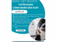 Bảng viết Bavico cần tuyển 05 công nhân sản xuất bảng viết học sinh