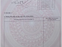 SIÊU PHẨM ĐẤT MẶT TIỀN 826D – TÂN TẬP, LONG HẬU