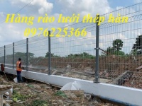 Hàng rào lưới thép khu công nghiệp D4, D5, D6