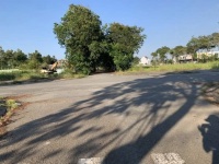 ĐẤT ĐẸP–GIÁ TỐT–BÁN GẤP LÔ ĐẤT BIỆT THỰ SONG LẬP, Đường Tam Đa, P.Trường Thạnh, Q.9–TP.HCM