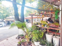 Mình cần sang lại quán Cafe tại 189 Nguyễn Thị Minh Khai ,P Thành Công, BMT.