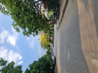 TĐC Trâu Quỳ, Gia Lâm. 61m2, mt 4m, đường 13m view vườn hoa chỉ 11 tỷ x. Lh 0989894845