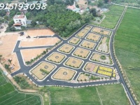 QL21 không chỉ là đường, nó là dòng tiền di chuyển mỗi ngày.
