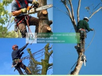 Cưa cây cắt cỏ kcn Phú Mỹ, kcn Mỹ Xuân Bà Rịa Vũng Tàu