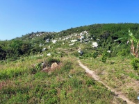 ĐẤT ĐẸP – GIÁ TỐT – CẦN BÁN GẤP LÔ ĐẤT – Thôn Quãng Phú – Xã Cam Hiệp – Huyện Cam Lâm – Khánh Hòa