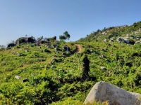 ĐẤT ĐẸP – GIÁ TỐT – CẦN BÁN GẤP LÔ ĐẤT – Thôn Quãng Phú – Xã Cam Hiệp – Huyện Cam Lâm – Khánh Hòa