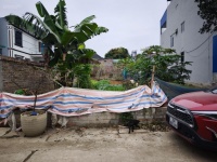 Cực Phẩm hòa lạc 131m2, hàng hiếm tại Thạch Thất, Hà Nội