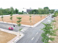 TÔI CHÍNH CHỦ CẦN TIỀN BÁN CẮT LỖ LÔ ĐẤT VÀNG Ở PHÚ CÁT - SÁT VÁCH TỈNH LỘ 446 - QUỐC LỘ 21