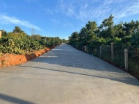 CHÍNH CHỦ CẦN BÁN LÔ ĐẤT CÓ VỊ TRÍ ĐẸP TẠI XÃ TÂN HÀ - LÂM HÀ - LÂM ĐỒNG