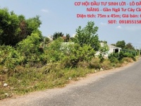 CƠ HỘI ĐẦU TƯ SINH LỜI - LÔ ĐẤT VỊ TRÍ ĐẸP TIỀM NĂNG - Gần Ngã Tư Cây Cầy - Tân Châu