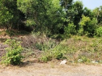 CƠ HỘI ĐẦU TƯ SINH LỜI - LÔ ĐẤT VỊ TRÍ ĐẸP TIỀM NĂNG - Gần Ngã Tư Cây Cầy - Tân Châu