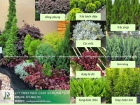 Thiết Kế Thi Công Tiểu Cảnh Sân Vườn Thảo Điền TP.HCM – Đẹp Hiện Đại, Đẳng Cấp