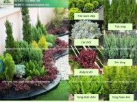 Thiết Kế Thi Công Tiểu Cảnh Sân Vườn Thảo Điền TP.HCM – Đẹp Hiện Đại, Đẳng Cấp