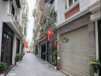 LẠC LONG QUÂN – Ô TÔ VÀO NHÀ – 50M RA TRỤC CHÍNH – MỞ PHÒNG KHÁM, SPA HÁI RA TIỀN