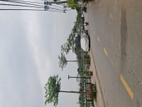 Dương Quang, Gia Lâm 58m2, mt 3,9m chỉ 3 tỷngõ rộng gần trục chính 