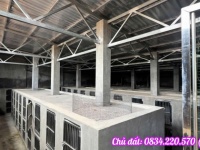 BÁN LỖ HƠN 1 TỶ – NHÀ KHO 1.073M² GẦN VÀNH ĐAI 4 – CỦ CHI – GIÁ 5,6 TỶ (TL)