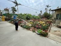 BÁN ĐẤT NGÕ 172 CÁT LINH – TRÀNG CÁT – Ô TÔ VÀO TẬN NƠI – GIÁ 23TR/M²