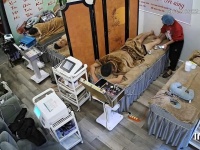 Chính Chủ Chuyển nhượng mặt bằng tại đường Nguyễn Quốc Trị – Hưng Bình, Nghệ An