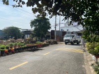 ĐẤT ĐẸP 1/ ĐÔNG THẠNH 7 – ĐƯỜNG 6M THÔNG – CHỈ 3.75 TỶ