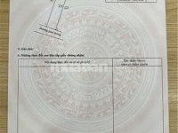 ĐẤT CHÍNH CHỦ - THỔ CƯ 100% - Đường Lý Văn Sâm, Phường Tam Hiệp, TP Biên Hoà, Tỉnh Đồng Nai