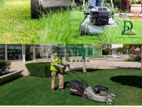 Dịch vụ cắt cỏ KCN Long Thành - Cưa cây định kỳ giá rẻ nhanh chóng