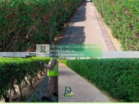 Dịch vụ cắt cỏ KCN Long Thành - Cưa cây định kỳ giá rẻ nhanh chóng