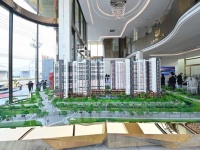 The Emerald Garden View sở hữu chĩ 7 triệu tháng tại sao chưa sở hữu ngay.