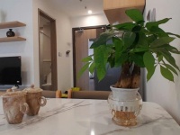 Căn hộ studio mới tại Vinhomes Grand Park