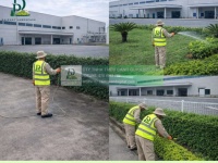 Dịch Vụ Cưa Cây, Cắt Cỏ Nhà Máy Tại KCN Amata Biên Hòa – An Toàn, Chuyên Nghiệp, Giá Tốt