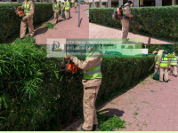 Dịch Vụ Chăm Sóc Cảnh Quan KCN Long Khánh KCN Sông Mây Chuyên Nghiệp, Giá Tốt