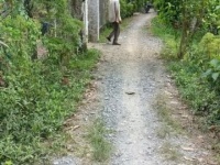 CHÍNH CHỦ CẦN BÁN LÔ ĐẤT CÓ VỊ TRÍ ĐẸP TẠI XẺO MUỒNG - XÃ MỸ LONG – H.CAO LÃNH - ĐỒNG PHÁP