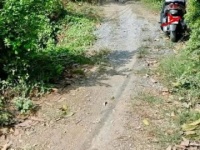 CHÍNH CHỦ CẦN BÁN LÔ ĐẤT CÓ VỊ TRÍ ĐẸP TẠI XẺO MUỒNG - XÃ MỸ LONG – H.CAO LÃNH - ĐỒNG PHÁP