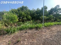 Bán vườn 3216m2, Xuân Phú, Xuân Lộc. Đồng Nai. Giá 1,8 ty. Lh 0984488048.