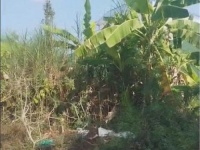 Chỉ 10 triệu/ m2, Sở Hữu Ngay Đất Thổ Cư Sổ Hồng Riêng 96m2 Đường Nhựa, KDC đường 853, Tân Phú