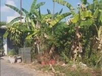 Chỉ 10 triệu/ m2, Sở Hữu Ngay Đất Thổ Cư Sổ Hồng Riêng 96m2 Đường Nhựa, KDC đường 853, Tân Phú