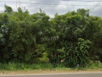 ĐẤT MẶT TIỀN QL13 – GIÁ TỐT – CHÍNH CHỦ CẦN BÁN Tại QL13, TT. Tân Khai, H. Hớn Quản, Bình Phước