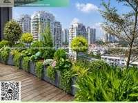 THI CÔNG CHẬU COMPOSITE SÂN VƯỜN GIÁ RẺ TP.HCM – CUNG CẤP CÂY CẢNH TRỌN GÓI