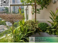 Thi công chậu Composite sân vườn giá rẻ tại TP.HCM trọn gói cây cảnh