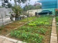 CHÍNH CHỦ BÁN GẤP – NHÀ VƯỜN HƠN 800m² – GIÁ NHỈNH 7 TỶ