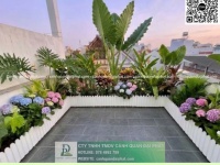 THIẾT KẾ – THI CÔNG – BẢO DƯỠNG CẢNH QUAN DOANH NGHIỆP TẠI BÀ RỊA – VŨNG TÀU