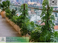 Thiết Kế Thi Công Bảo Dưỡng Cảnh Quan Doanh Nghiệp Tại Đồng Nai