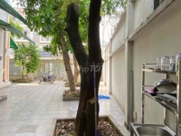 CHO THUÊ PHÒNG TRONG NHÀ BIỆT THỰ – KHU DÂN CƯ VẠN XUÂN, TAM BÌNH, THỦ ĐỨC
