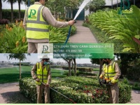 Dịch Vụ Cắt Cỏ Vệ Sinh Cảnh Quan KCN Biên Hòa Đồng Nai