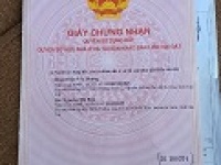 ► CẮT LỖ SÂU – CHÍNH CHỦ BÁN GẤP ĐẤT NHÀ VƯỜN VIEW SUỐI – CHỈ 3,9 TỶ